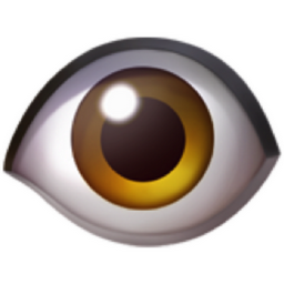 Eye